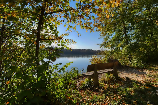 又充满魅力 又充满魅力